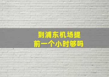 到浦东机场提前一个小时够吗