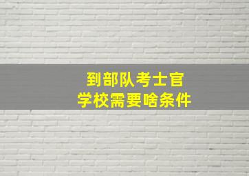 到部队考士官学校需要啥条件