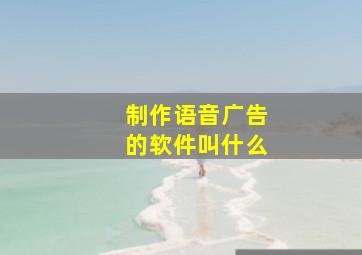 制作语音广告的软件叫什么