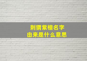 刺猬紫檀名字由来是什么意思