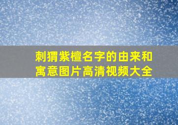 刺猬紫檀名字的由来和寓意图片高清视频大全