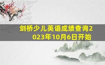 剑桥少儿英语成绩查询2023年10月6日开始