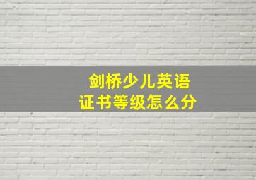 剑桥少儿英语证书等级怎么分