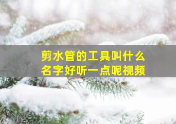 剪水管的工具叫什么名字好听一点呢视频