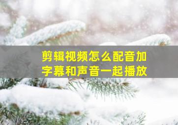 剪辑视频怎么配音加字幕和声音一起播放