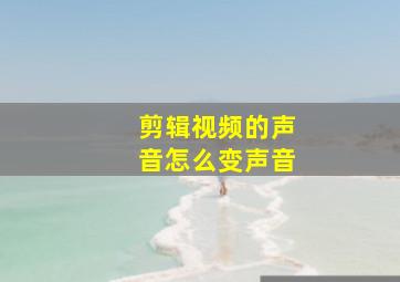 剪辑视频的声音怎么变声音