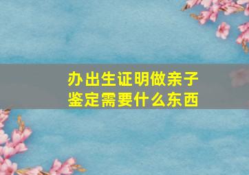 办出生证明做亲子鉴定需要什么东西