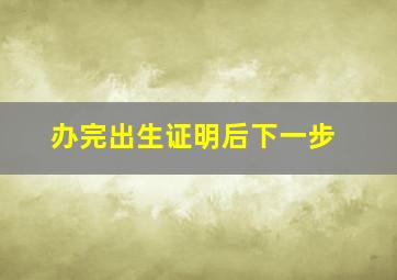 办完出生证明后下一步