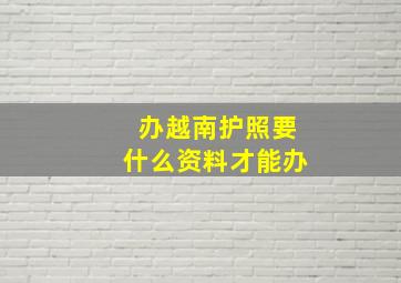 办越南护照要什么资料才能办