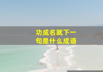 功成名就下一句是什么成语