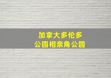 加拿大多伦多公园相亲角公园