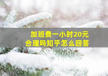 加班费一小时20元合理吗知乎怎么回答