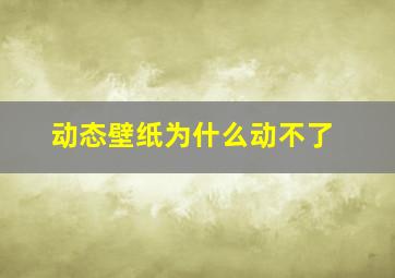 动态壁纸为什么动不了