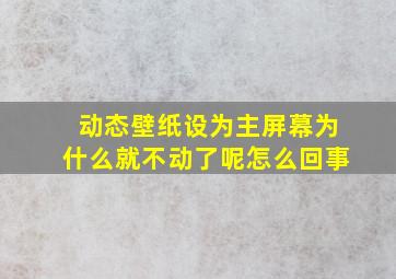 动态壁纸设为主屏幕为什么就不动了呢怎么回事