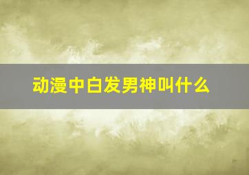 动漫中白发男神叫什么