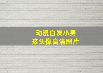 动漫白发小男孩头像高清图片