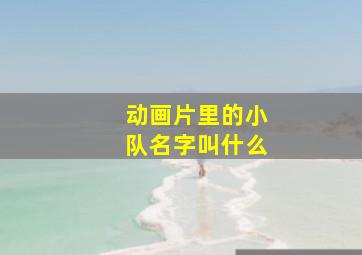 动画片里的小队名字叫什么