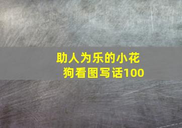 助人为乐的小花狗看图写话100