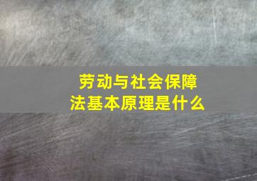 劳动与社会保障法基本原理是什么