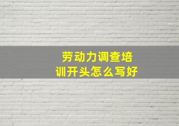 劳动力调查培训开头怎么写好