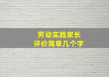 劳动实践家长评价简单几个字