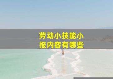 劳动小技能小报内容有哪些