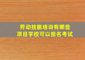 劳动技能培训有哪些项目学校可以报名考试