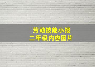 劳动技能小报二年级内容图片