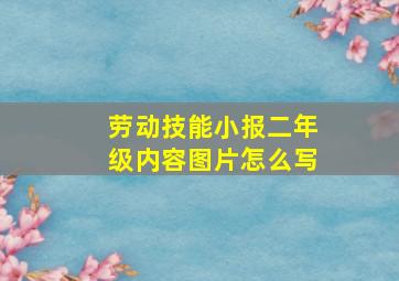 劳动技能小报二年级内容图片怎么写