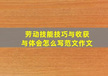 劳动技能技巧与收获与体会怎么写范文作文