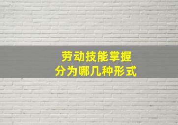 劳动技能掌握分为哪几种形式