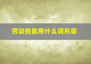 劳动技能用什么词形容