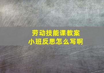 劳动技能课教案小班反思怎么写啊