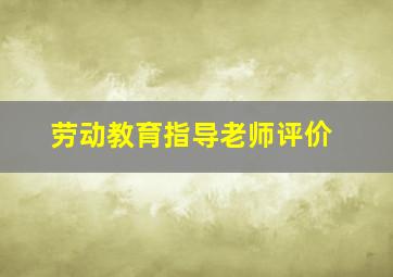 劳动教育指导老师评价