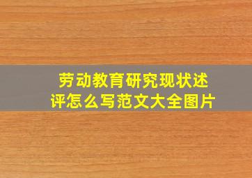 劳动教育研究现状述评怎么写范文大全图片