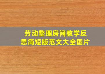 劳动整理房间教学反思简短版范文大全图片