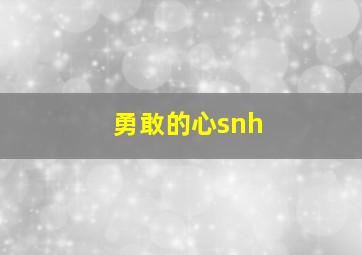 勇敢的心snh