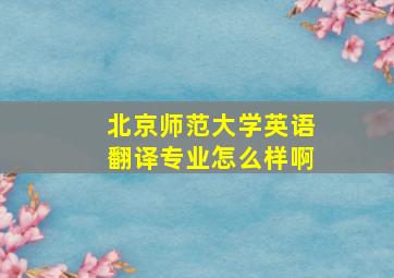 北京师范大学英语翻译专业怎么样啊