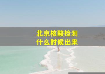 北京核酸检测什么时候出来