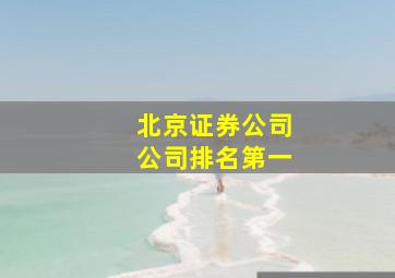 北京证券公司公司排名第一