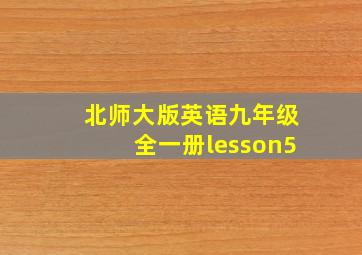 北师大版英语九年级全一册lesson5