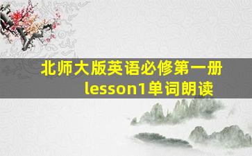 北师大版英语必修第一册lesson1单词朗读