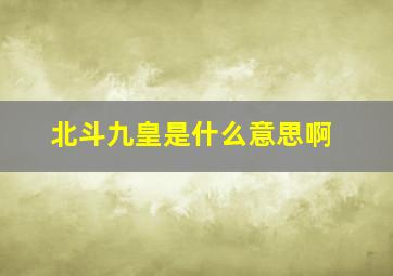 北斗九皇是什么意思啊