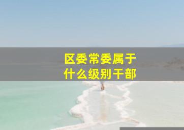 区委常委属于什么级别干部