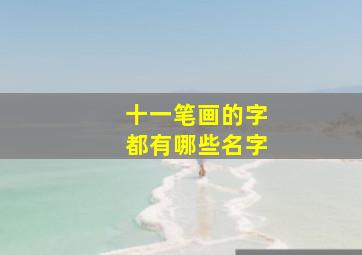 十一笔画的字都有哪些名字