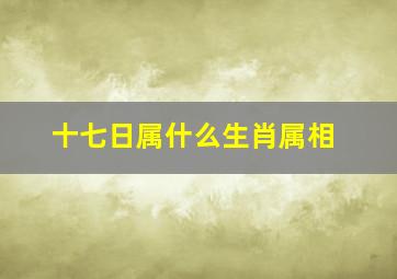 十七日属什么生肖属相