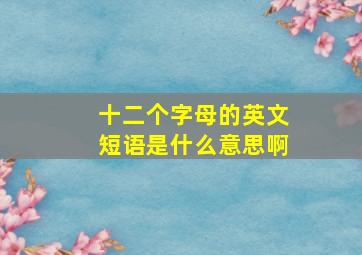 十二个字母的英文短语是什么意思啊