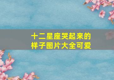 十二星座哭起来的样子图片大全可爱