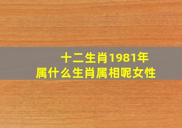 十二生肖1981年属什么生肖属相呢女性