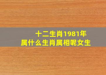 十二生肖1981年属什么生肖属相呢女生